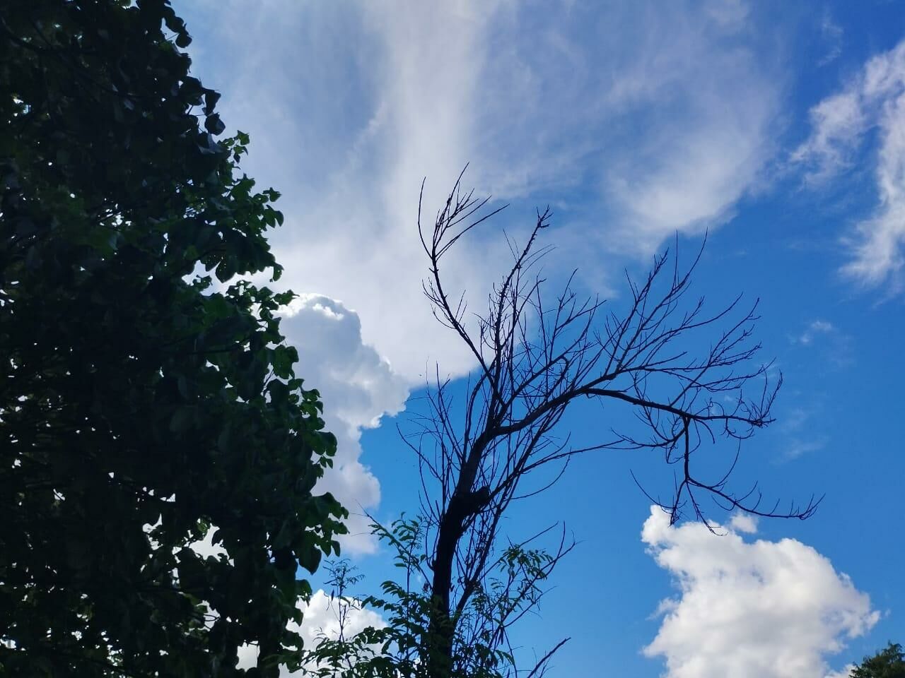 Imagem de compartilhamento para o artigo Previsão indica calor intenso, com pancadas de chuva em Costa Rica da MS Todo dia